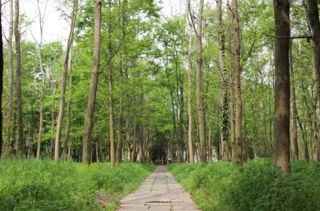 这个地方30年前真的很繁华,宁大回忆