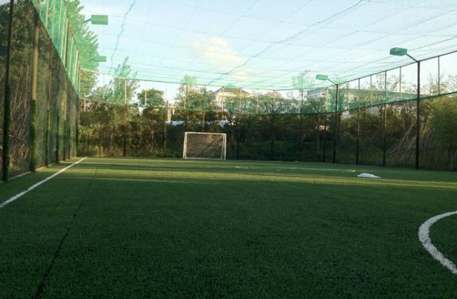 活久见，他们居然众筹了个……