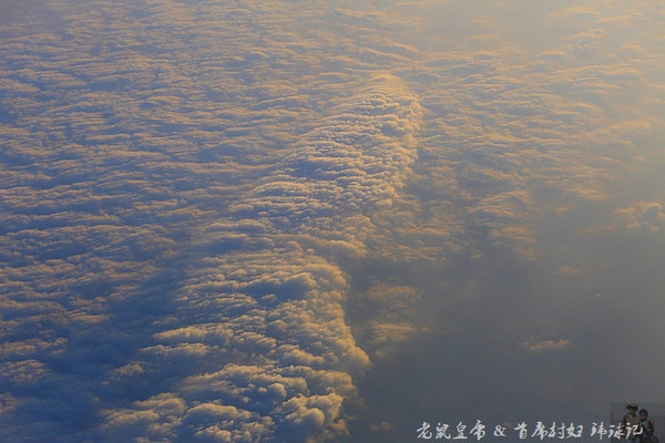 太平洋小小岛国帕劳貌似已被中国人全面占领