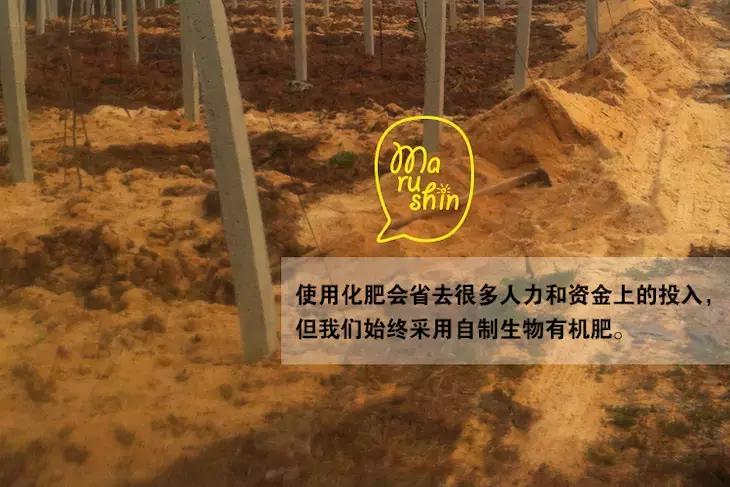 农心|一起向匠人精神致敬!