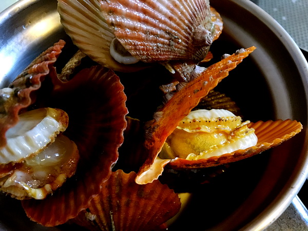 爱秀食堂-甘树子蒸石斑鱼奶香焗扇贝