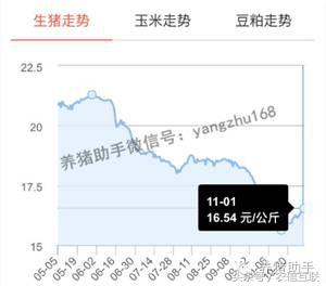 猪价上涨养猪人身价倍增,猪价暴涨带动什么