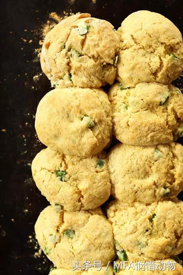 酵母的营养价值及功效与作用,营养酵母是啥