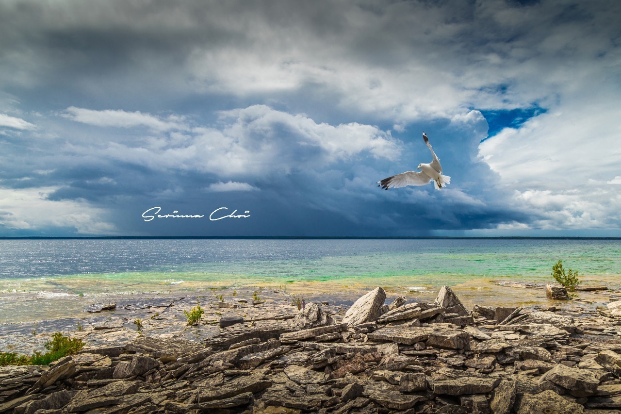 琛屾憚鍗冨北涓囨按鏁欑▼,琛屾憚鏀荤暐