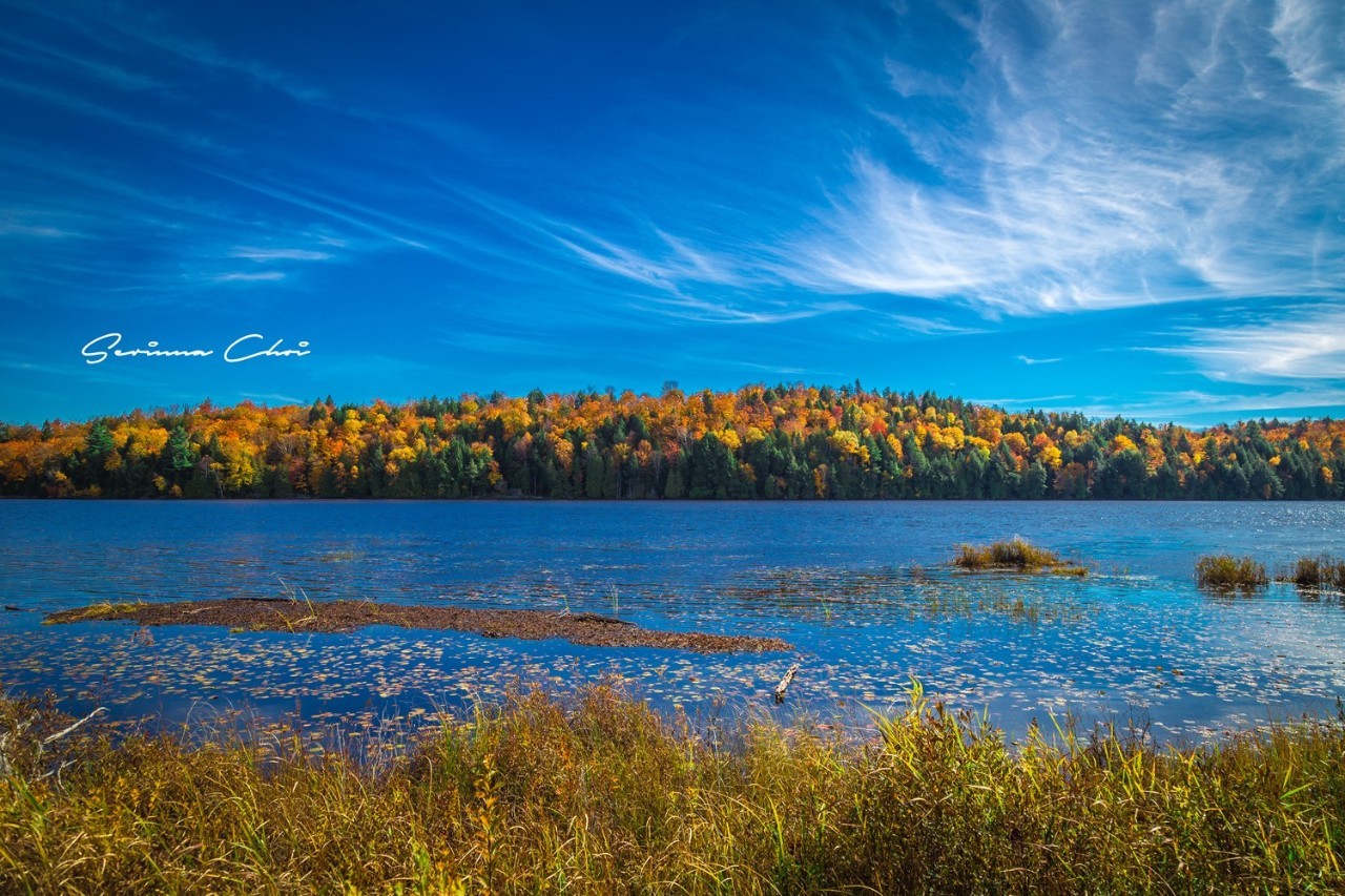 琛屾憚鍗冨北涓囨按鏁欑▼,琛屾憚鏀荤暐