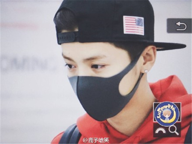 鹿晗回来了,鹿晗回来了吗