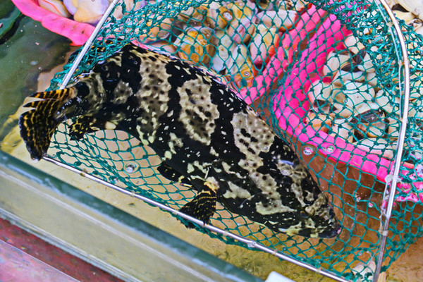 三亚最美的地方在哪里,三亚世界上最美的海在哪里