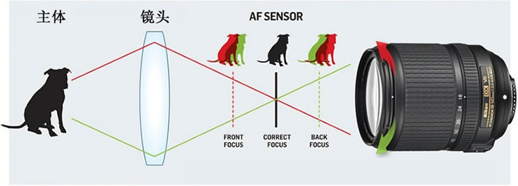 佳能550d单反相机自动对焦,尼康单反相机怎么自动对焦