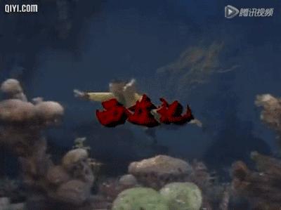 猴哥千年等一回,猴哥我等你好久