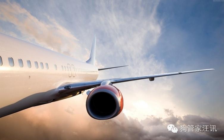 托运狗狗路上有人照顾吗,物流托运狗狗大概多少钱