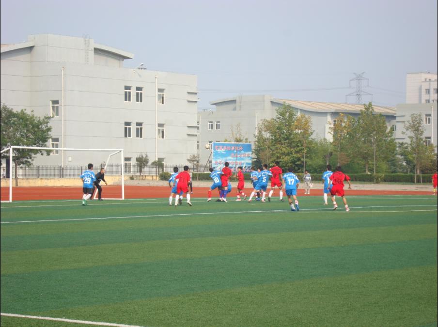 足球场球迷疯狂闯进场内,足球疯狂球迷冲场庆祝