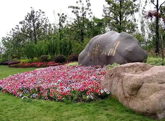 OMG！“鸡爪女”又在地铁12号线上吃起了麻辣烫！