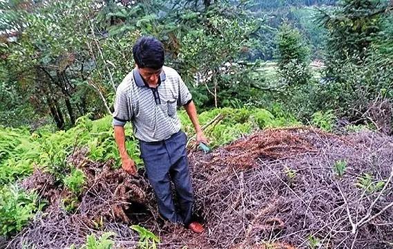壹闻:地标里藏裸模 彩绘艺术家创人体新玩法