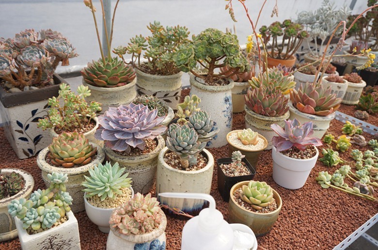 乐活周末有什么好玩的,乐活2022