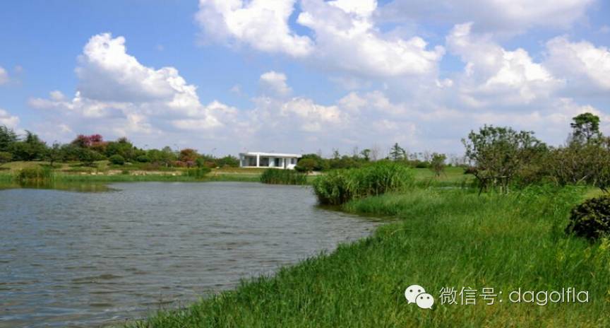 高尔夫优惠团购99元直播,国际高尔夫订场