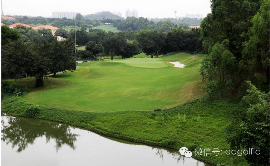 高尔夫球优惠活动,高尔夫挥杆练习场团购