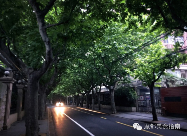 扒一扒明星开的服装店,扒一扒明星做餐饮