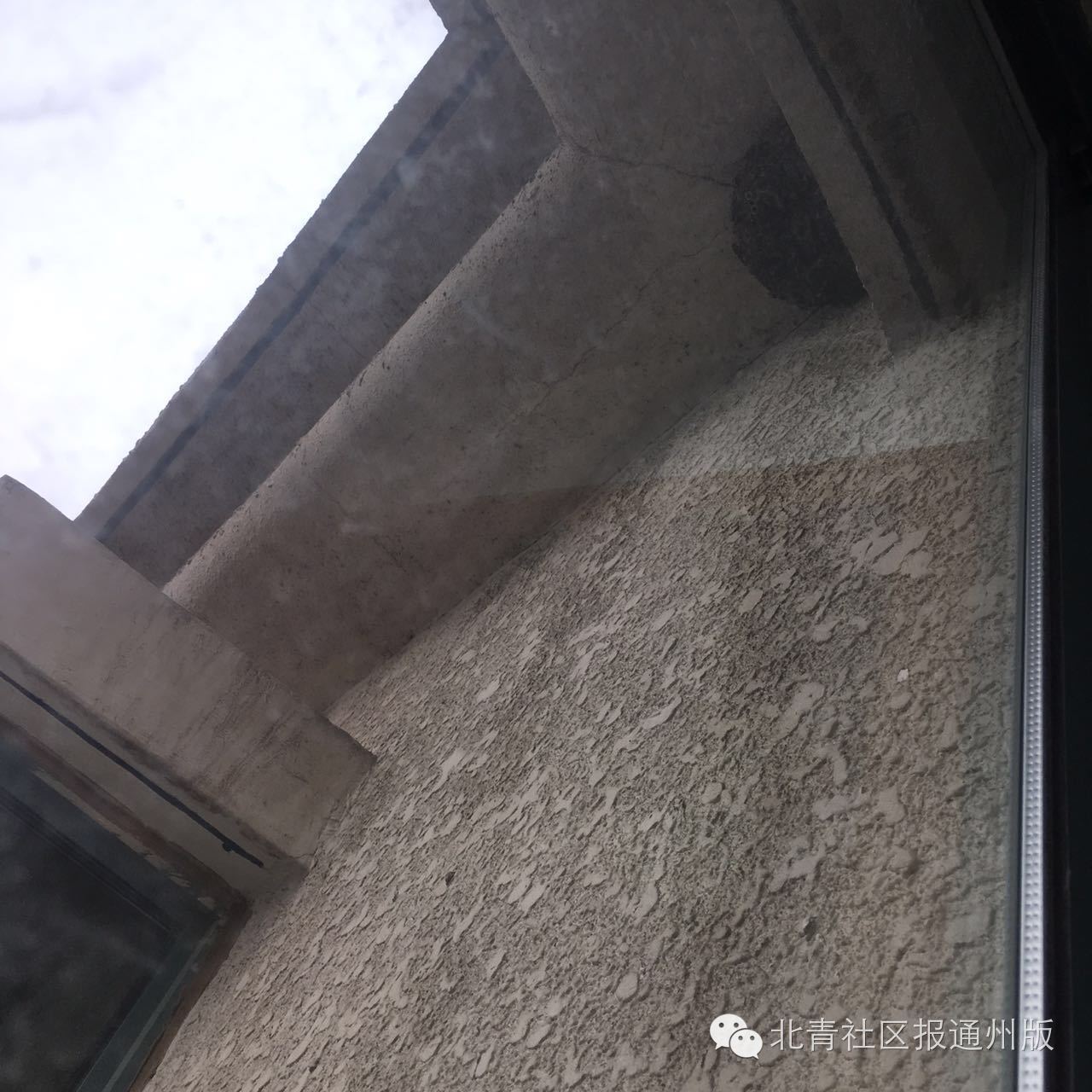 通州热线丨啥！通州一居民家发现足球大的马蜂窝？