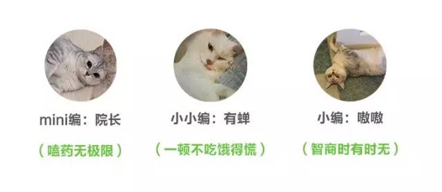 双十一抢进口好货在哪里,双十一购物各种商品都降价吗