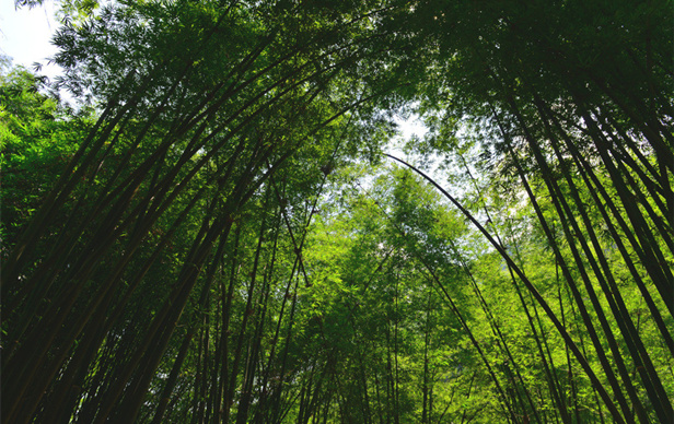 贵州令人惊叹的地方,贵州有什么之乡