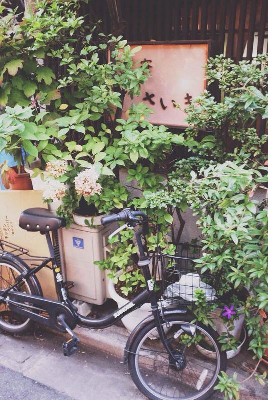 吃遍日本寿司,吃遍日本美食视频