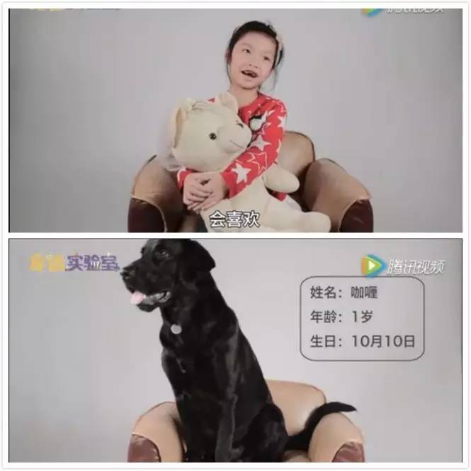 她懂宠物的一言一行，并且做了一个宠物界的“大众点评”