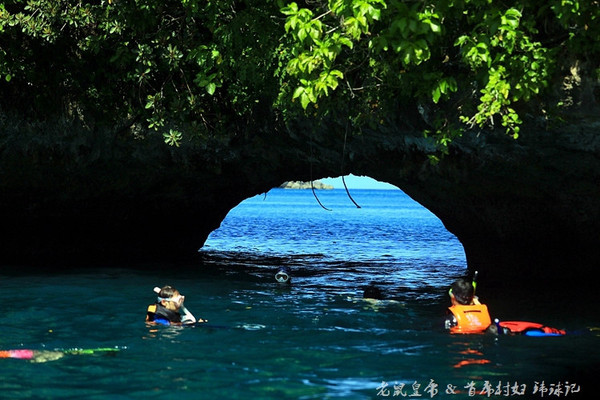 帕劳海底世界完整视频,帕劳潜水遇到的海底生物