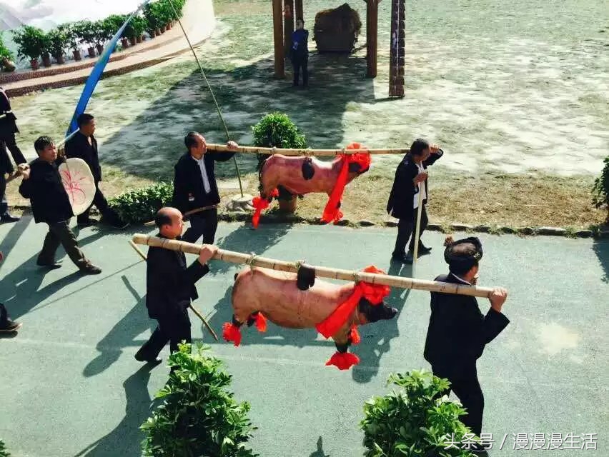 贵州黔南荔波小七孔无滤镜,贵州黔南州荔波县小七孔