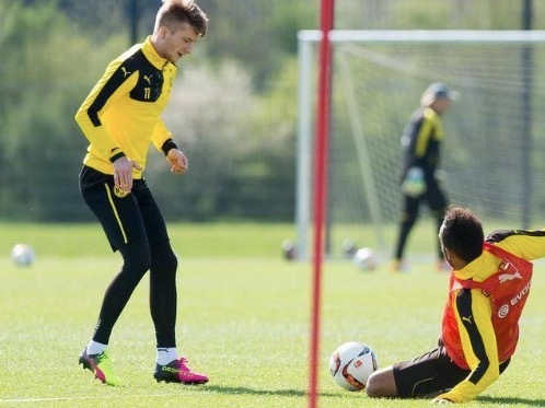 绿茵场足球,绿茵场里的足球