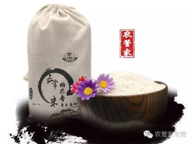 今日最新稻谷价格行情,今日稻谷价格河南信阳稻谷价格