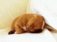 每周种草|剁手剁成丧尸脸?是时候往购物车再放点面膜补补血