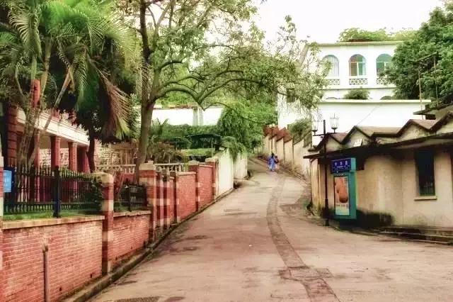 错过美丽的风景,厦门鼓浪屿的风景特别美