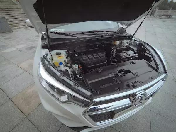 老树开新花七绝,老树开新花枯树发新芽