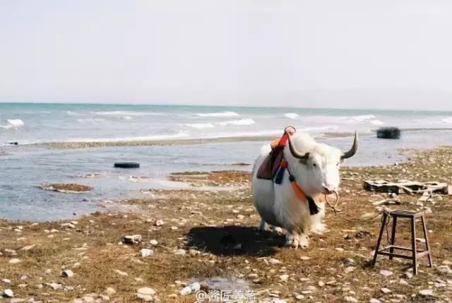 摄影写真排名前十名,摄影十大品牌排行榜前十名