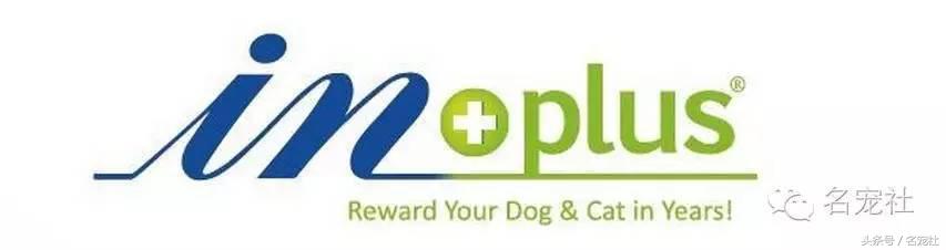 成都金毛cku国际认证犬舍,金毛拉布拉多犬舍全国直发