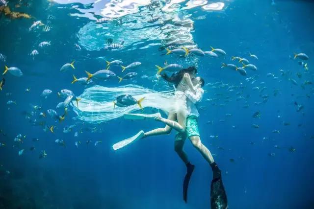 帕劳旅游吃住攻略,超强整理去帕劳不得不看的攻略