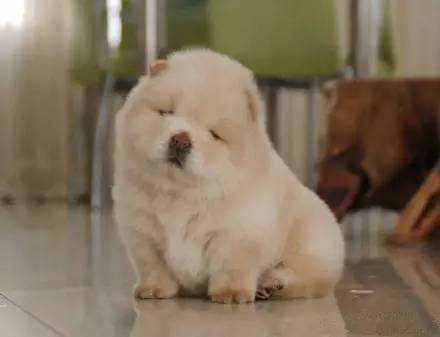 周一上班有情绪？能用嘴巴解决的，我们尽量不动手！