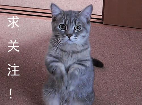 鲍鱼大虾海鲜火锅,一虾一蟹49元海鲜自助火锅