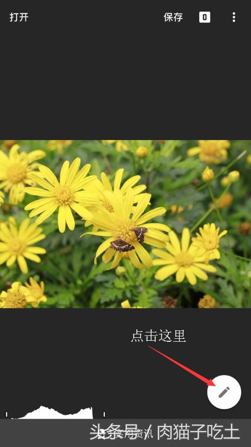 用手机如何把照片p成蓝底,手机设置背景变黑色怎么调回来