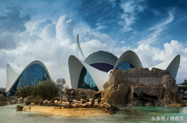 静如处子动如脱兔古诗,静如处子动如脱兔出自哪里