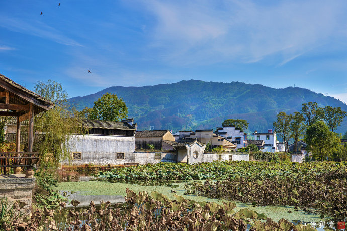 遇见最美的古村落,遇见最美的古村落来了就不想走
