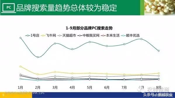 生鲜电商行业市场数据报告,中国生鲜电商发展简报2013年