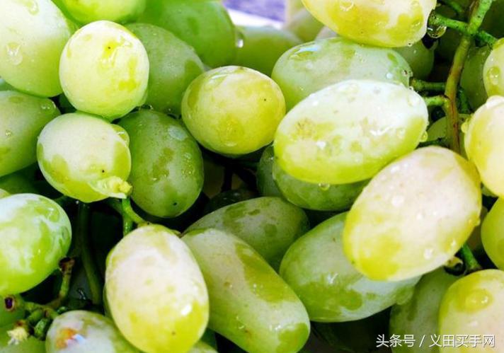 中国地理标志大会视频,国家地理标志产品官方采访