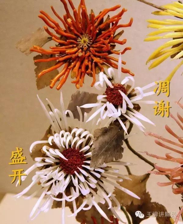 故宫文物菊花,故宫藏菊花长卷