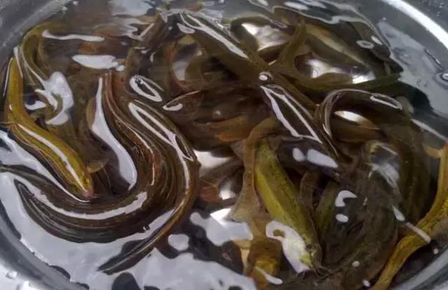 东北快消失了的一些农村美食,东北乡下消失的美食