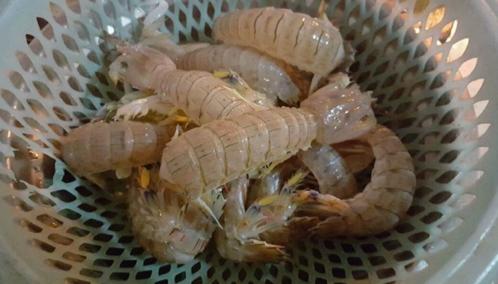 椒盐皮皮虾的皮皮虾要炸几分钟,蒸皮皮虾好吃还是椒盐皮皮虾好吃