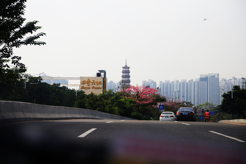 广州车展探馆日,2019广州车展探馆雷克萨斯