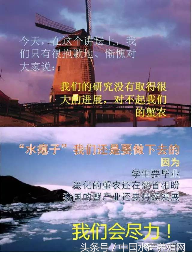 杨先乐：对不起我们的蟹农河蟹水瘪子病问题出在种质！