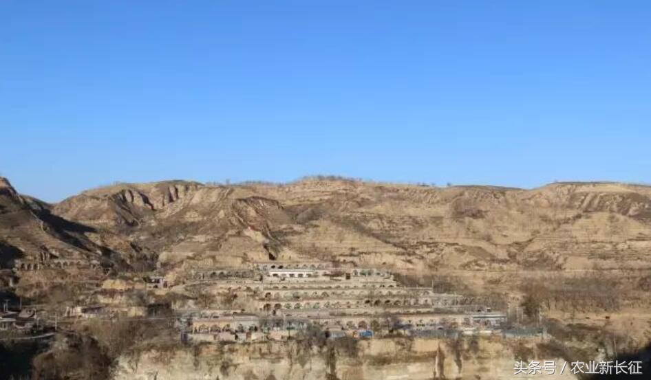 寰█澶т箟鍏ㄦ枃,寰█澶т箟瀹屾暣瑙嗛