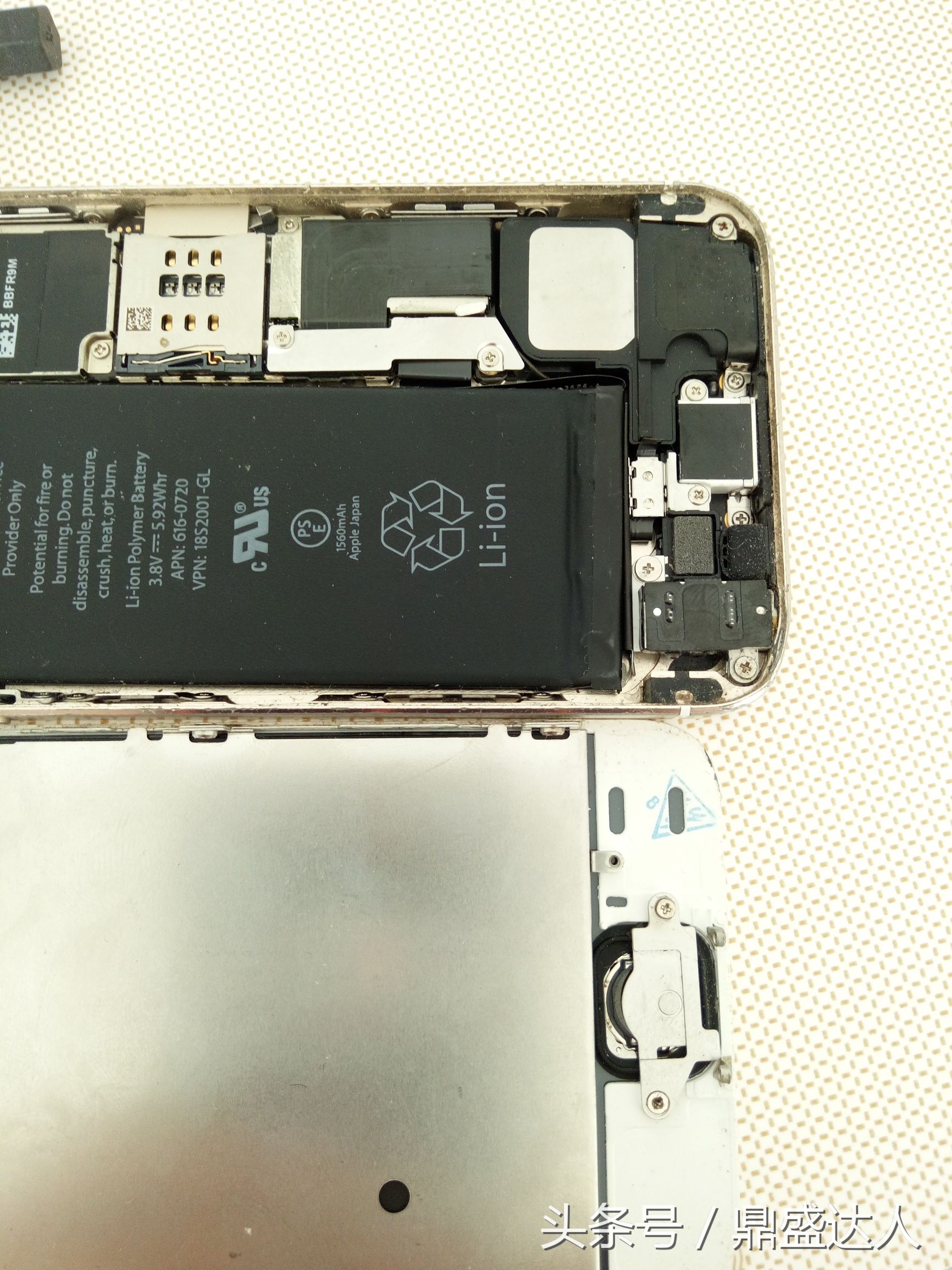 5s换壳教程视频,苹果5s拆机视频换屏幕